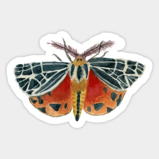 Watercolor Virgin Tiger Moth Sticker